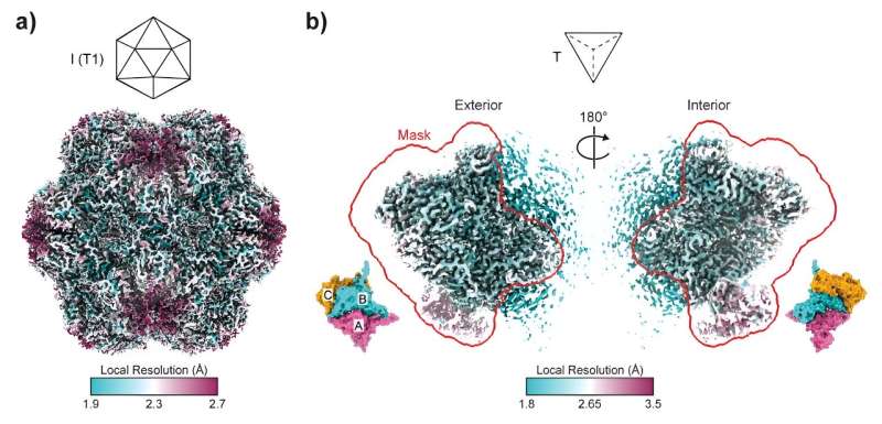 Cryo-EM Map Resolution Estimation for Protein Assembly
