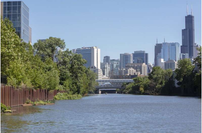 Natural Shorelines Boost Biodiversity in Chicago River - Study