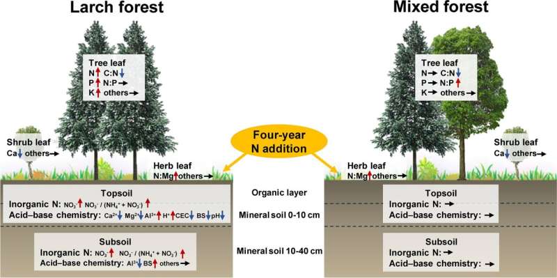 Nitrogen Pollution Impacts Mixed Forests Less Than Monocultures - Research