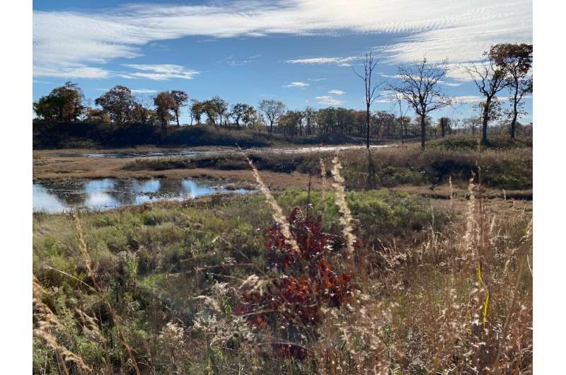 Climate Crisis & Conservation: US Park Rangers on the Front Lines