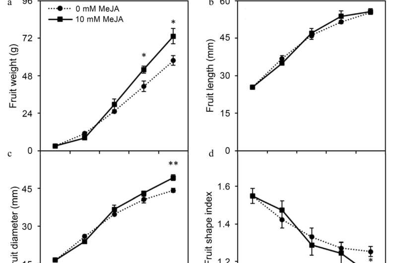 Methyl Jasmonate Improves Loquat Fruit Quality: Sugar Metabolism & Gene Expression