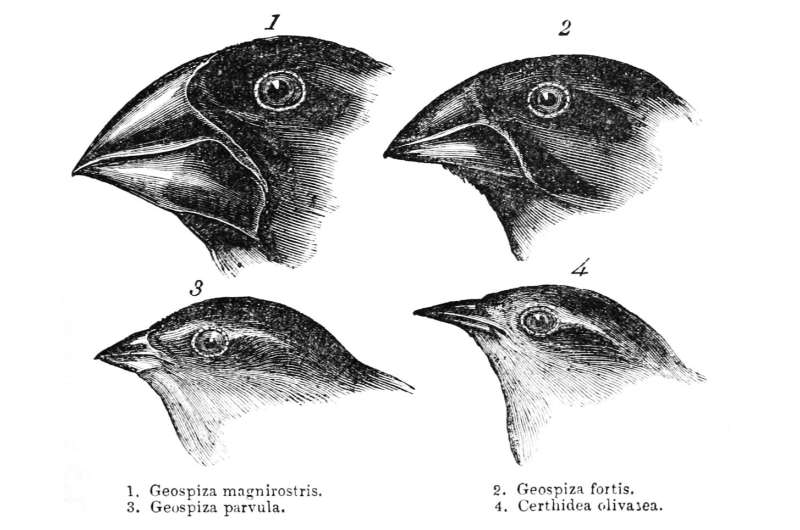 Microevolution Predicts Long-Term Evolutionary Trends: New Research
