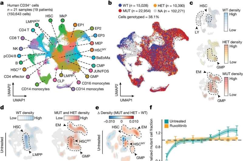 GoT-ChA: Uncovering the Impact of Gene Mutations on Cellular Structure