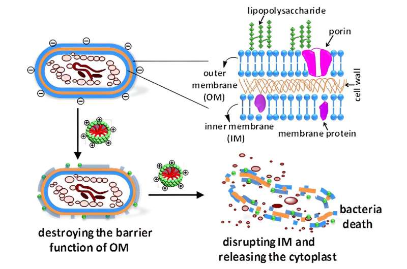Biosurfactants: A Natural Solution for Eco-Friendly Meat Preservation