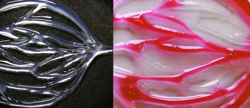 Advanced Fluidic System for Artificial Blood Vessels & Biomedicine