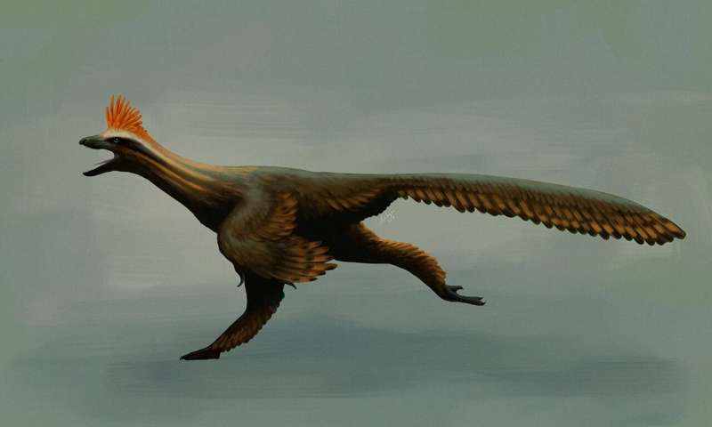 Ancient Bird-Dinosaur Fossil Analyzed at UK Synchrotron