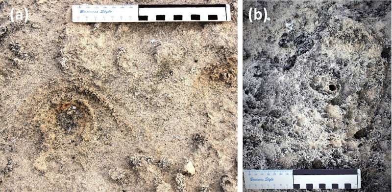 Ancient Sand Art? Fossilized Circles Found on South African Coast Spark Archaeological Debate