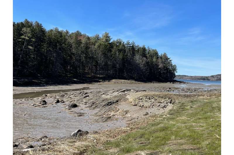 Ecosystem-Based Ocean Management: A Path to Sustainable Coastal Conservation