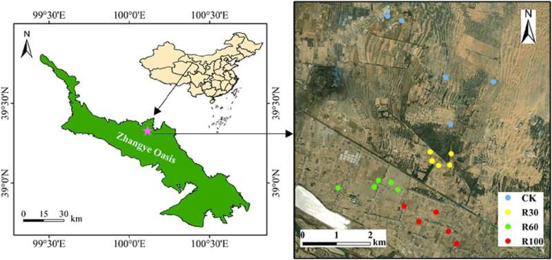 Soil Carbon & Nutrient Changes in Desert Oasis Farmland: A 30-100 Year Study