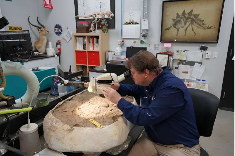 Dinosaur Fossil Restoration: Unlocking Ancient History - McClain Restoration