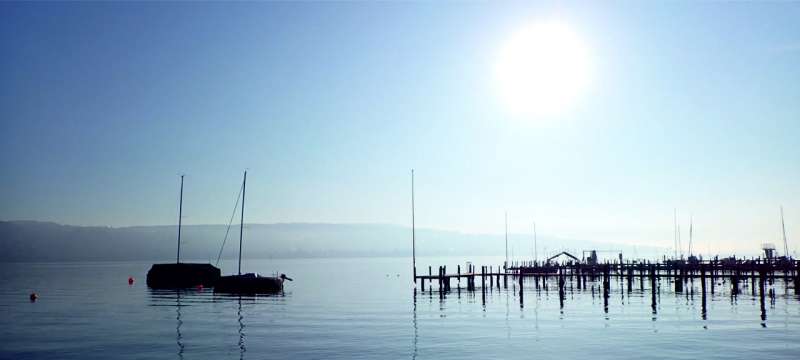 Climate Change Threatens Freshwater Bacteria Due to Limited Adaptability