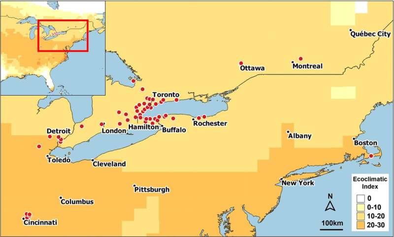 Box Tree Moth Spread Prediction: New Model Forecasts Future Distribution in North America