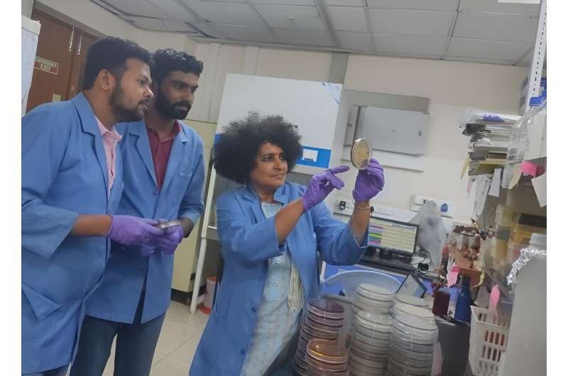 Spermidine Production: A Novel Approach to Combatting Antibiotic-Resistant Salmonella