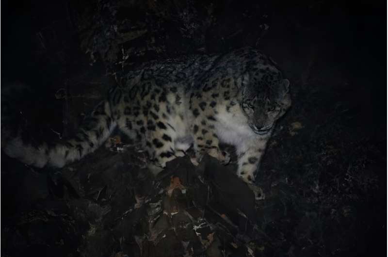 Mongolia s Wildlife Under Threat: Overgrazing and Habitat Loss