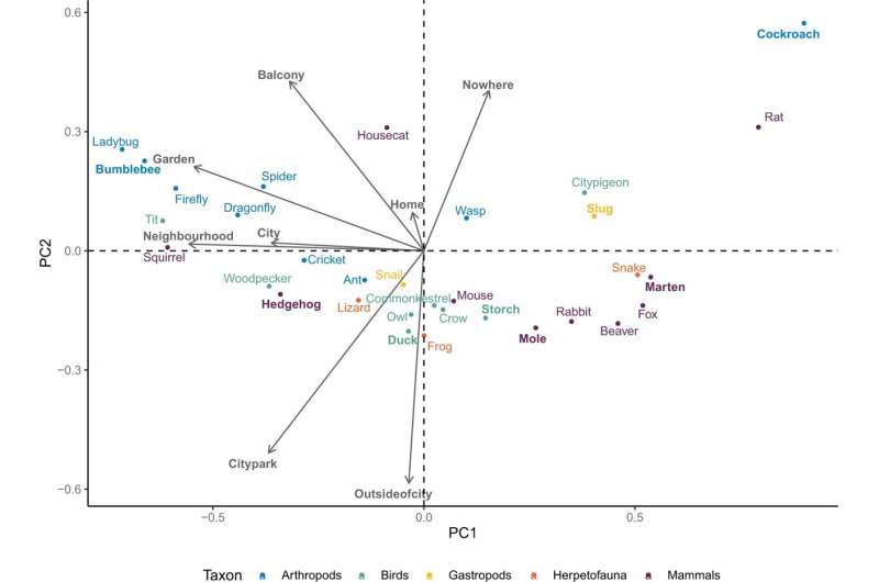 Urban Animal Attitudes: Study Reveals Preferences for City Wildlife