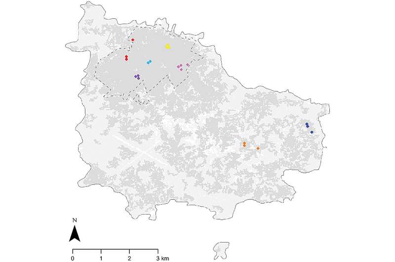 Balancing Conservation: The Complexities of Rat Control and Species Protection