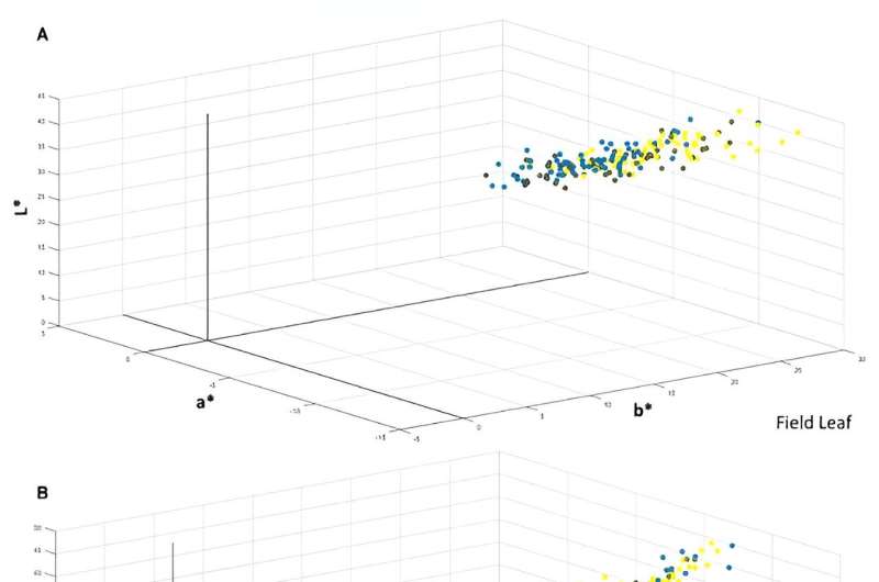 Snap Bean Color Variation: Insights from a Diversity Panel