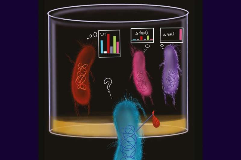 Similar Mutations in Lab and Wild E. coli Reveal Insights into Bacterial Evolution