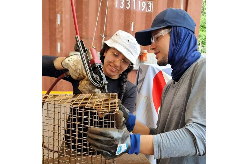 Restoring Australia s Oyster Reefs: A Community-Driven Revival