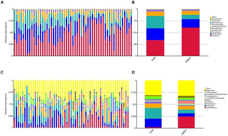 Kibble vs. Raw Food for Dogs: Health Research & Fecal Microbiome Analysis