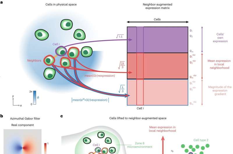 BANKSY: AI Tool Accelerates Tissue Analysis for Drug Discovery & Diagnostics