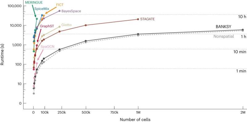 BANKSY: AI Tool Accelerates Tissue Analysis for Drug Discovery & Diagnostics