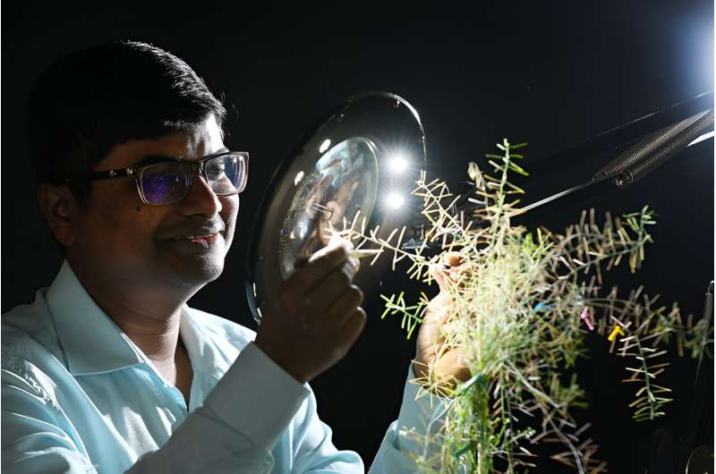 Accelerated Genetic Improvement in Plants: New Research by Purdue Team