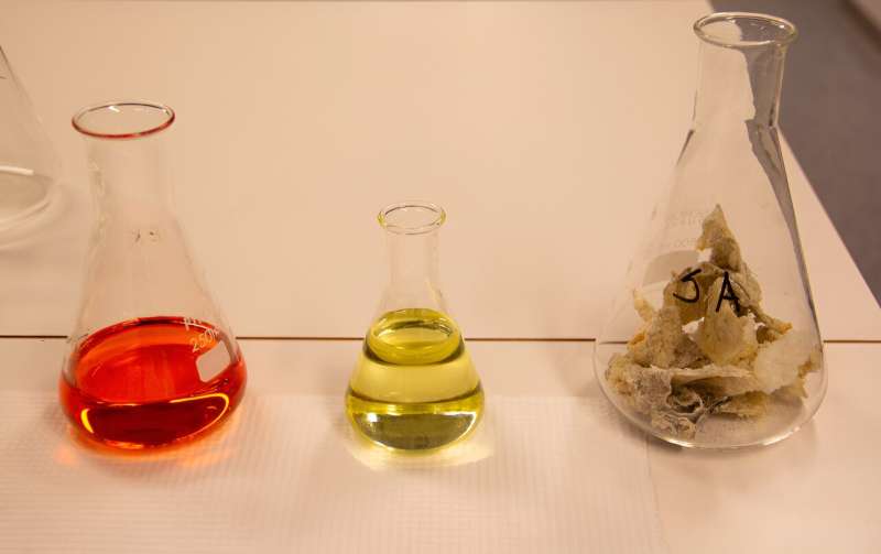 Fish Byproducts: A Sustainable Solution for Food & Cosmetics