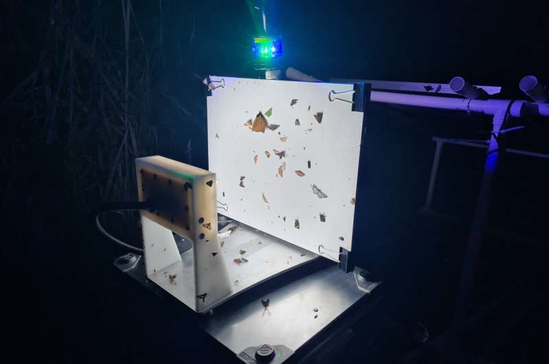 Technology Transforming Insect Research: New Tools & Insights