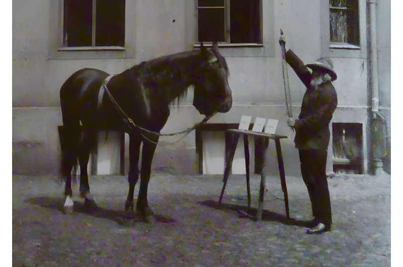 Minimizing Bias in Animal Behavior Research: Progress and Challenges