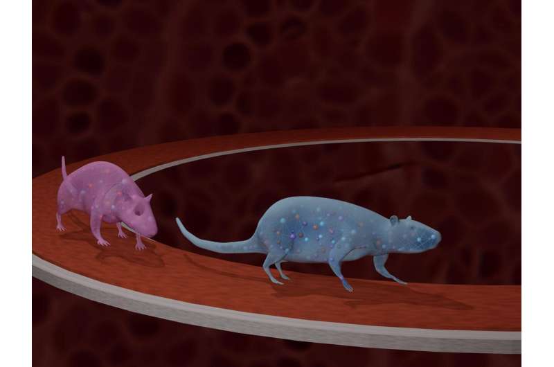 Molecular Responses to Exercise: Pioneering a Whole-Body Map