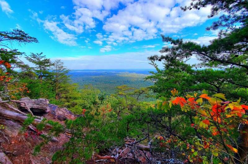 Recent Advances in Understanding the Origin of Life