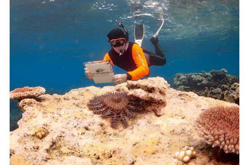 Crown-of-Thorns Starfish Control: Protecting the Great Barrier Reef