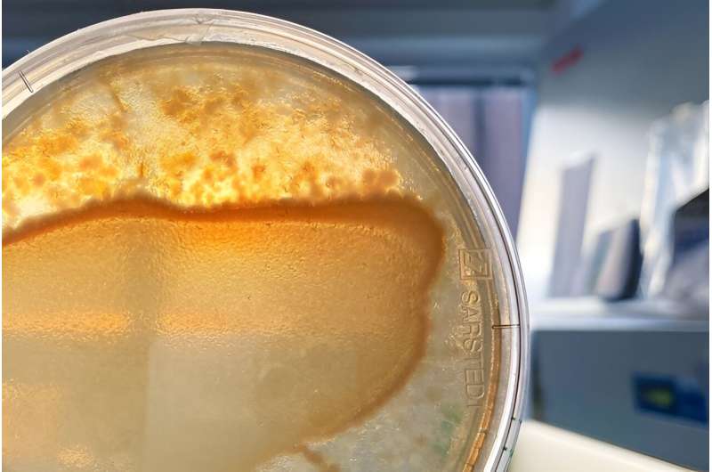 Microbiome Dynamics: Study Reveals Host-Relevant Functions of Bacterial Communities