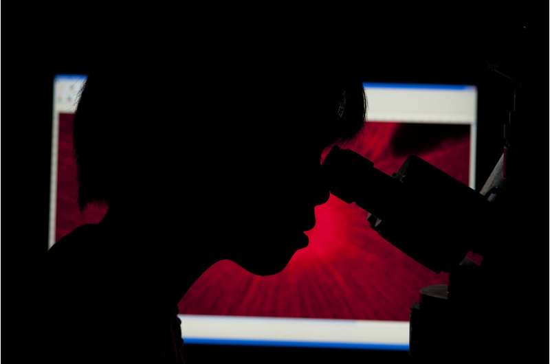 Synthetic Cell Development: A Foundational Document for Scientific Advancement