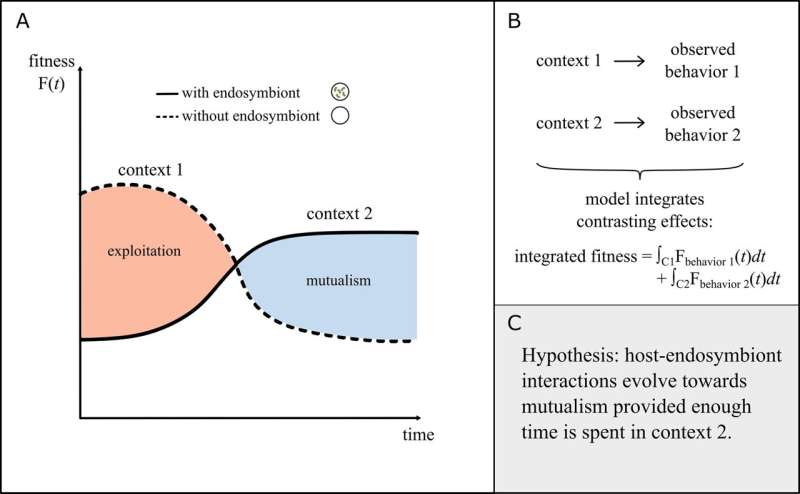 Endosymbiosis & Mathematics: Unraveling Evolutionary Relationships