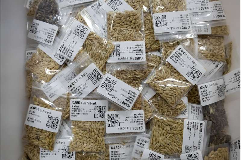 Innovative Farming in Morocco: Drought-Resistant Crops & Agricultural Research