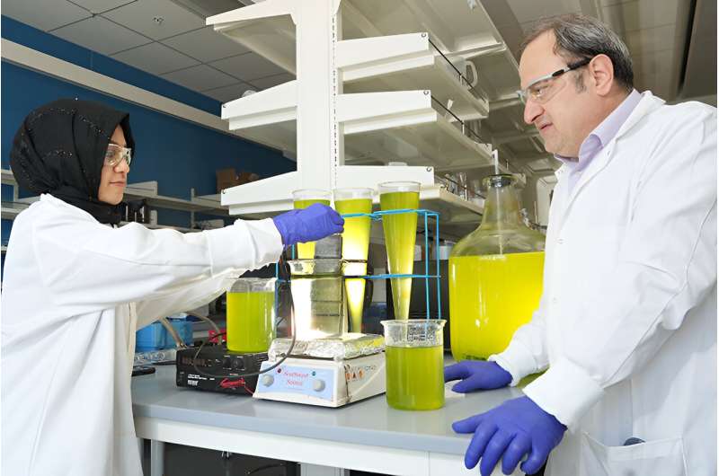 Innovative Wastewater Treatment for Aquaculture: Microalgae Harvesting with Electrocoagulation