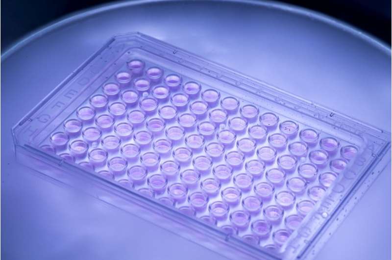 Advancing Drug Discovery: Bioreactors & Cryotechnologies for Human Cell Culture Testing