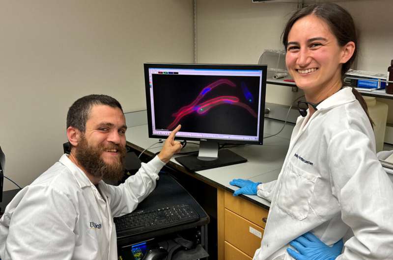 Phikzvirus (phiKZ): Exploring Therapeutic Potential of Jumbo Viruses