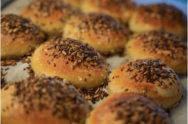 The Science of Sourdough: Understanding Its Ancient Microbes