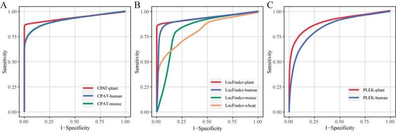 Plant Long Non-Coding RNA Identification Tool: Performance Evaluation