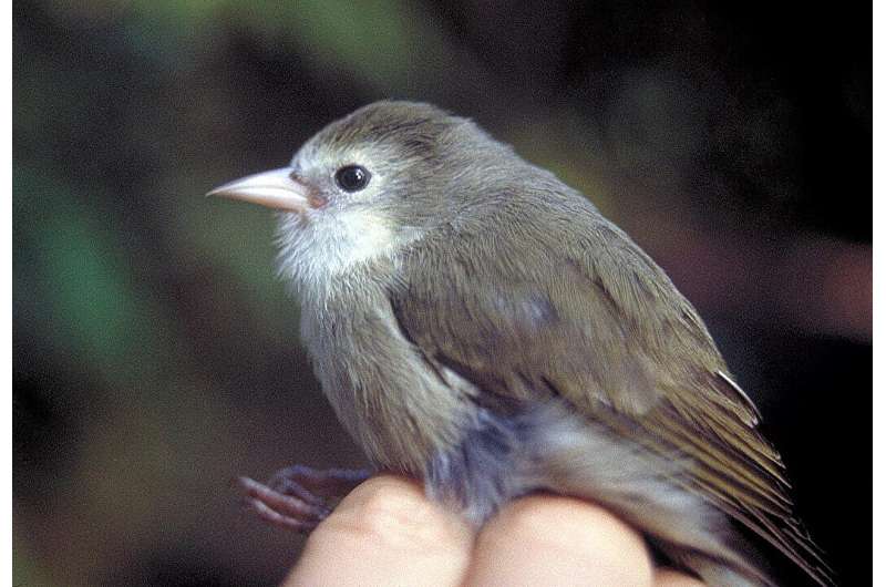 Pharmacists & Chemists: A Vital Role in Species Conservation