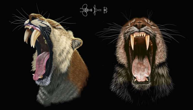 Saber-Toothed Cats Used Baby Teeth to Stabilize Iconic Sabers, Study Finds