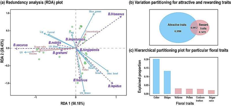 Bumblebee Foraging: How Species Divide Floral Resources
