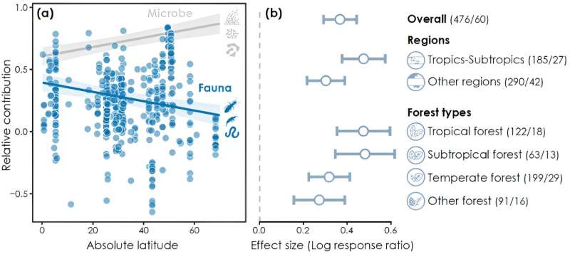 Invertebrates: Key to Forest Health Through Litter Decomposition - HKU Study