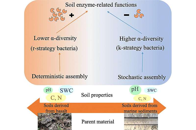 Hainan Island Soil Research: Uncovering Microbial Secrets in Rubber Plantations