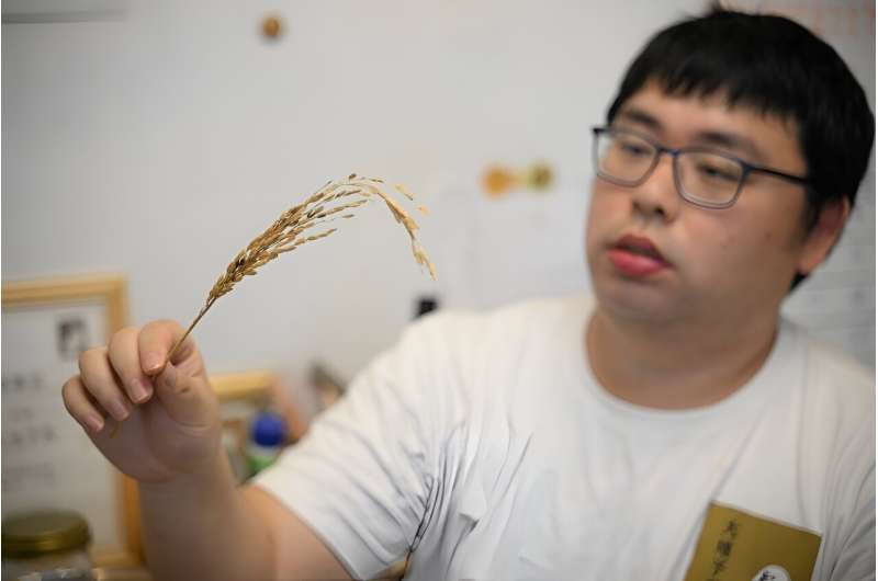 Preserving Hong Kong s Agricultural Heritage: Reviving Legacy Grains