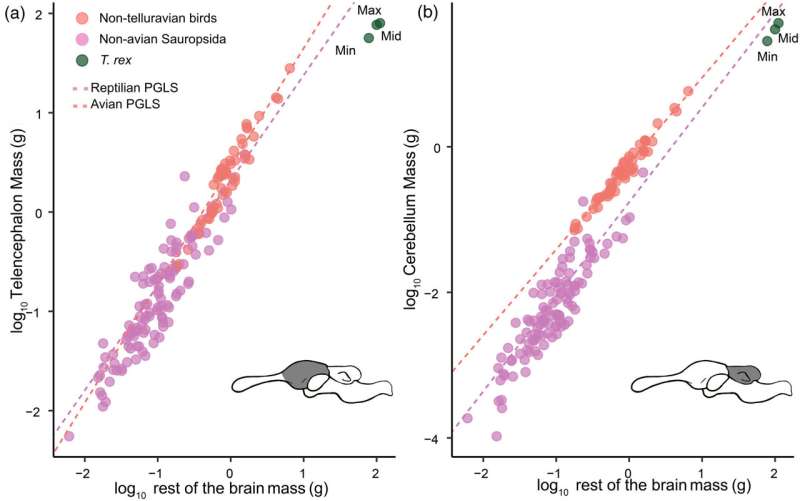 New Research: Was T. rex Really as Intelligent as We Thought?