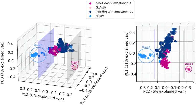 AI Predicts Dangerous Viruses: Machine Learning Identifies 191 High-Risk Strains